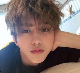 娱乐吃瓜爆料吴磊视频,娱乐吃瓜背后的故事揭秘